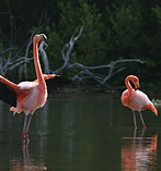 Image supplied by Galapagos Walk Tours